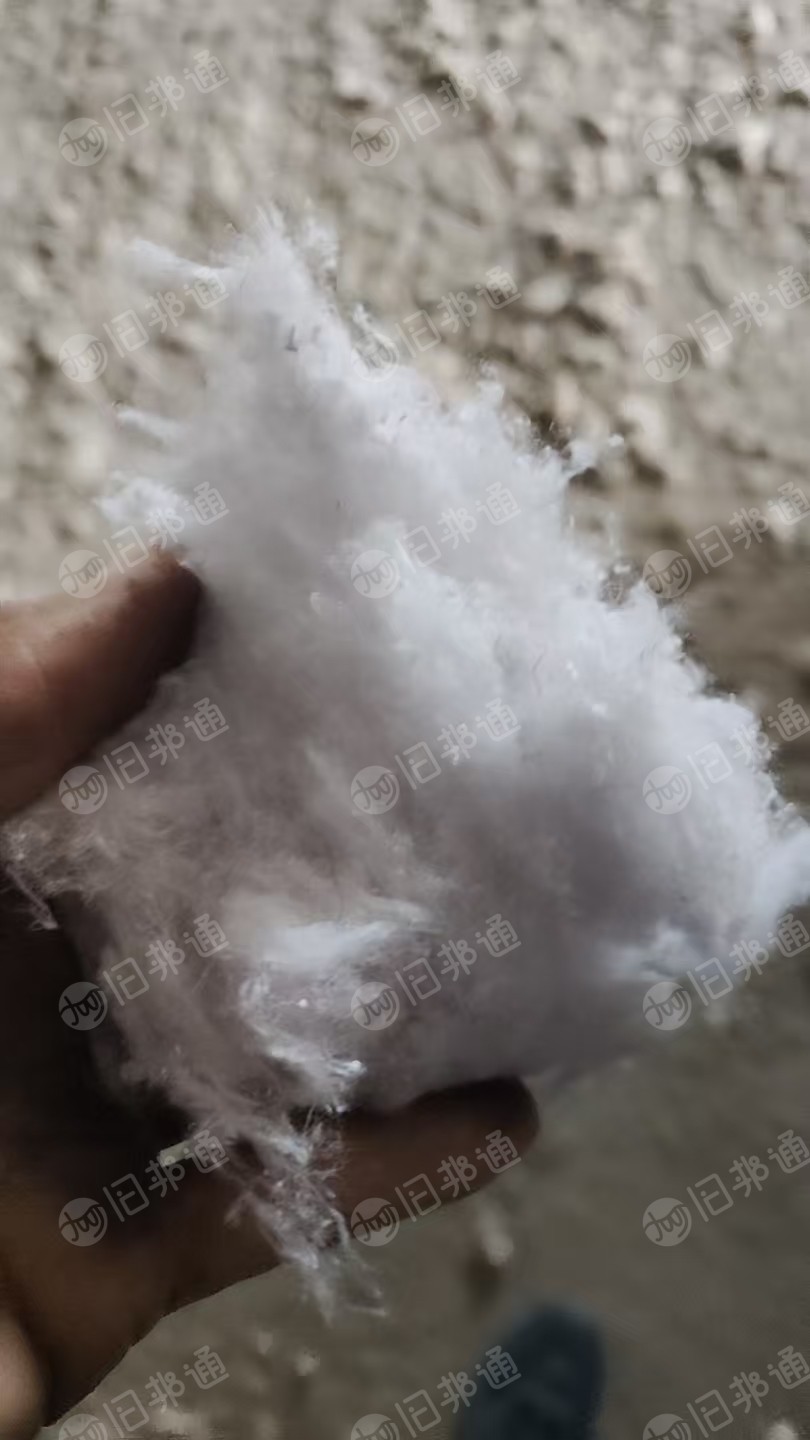 长期出售气流纺下来的涤棉鱼籽棉，漂白本白统货一起走，现货13吨左右
