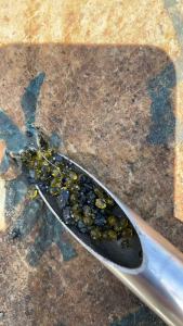 长期出售工厂低温过期TPU颗粒