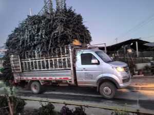 长期出售滴灌带废料，纯贴片滴灌带废料