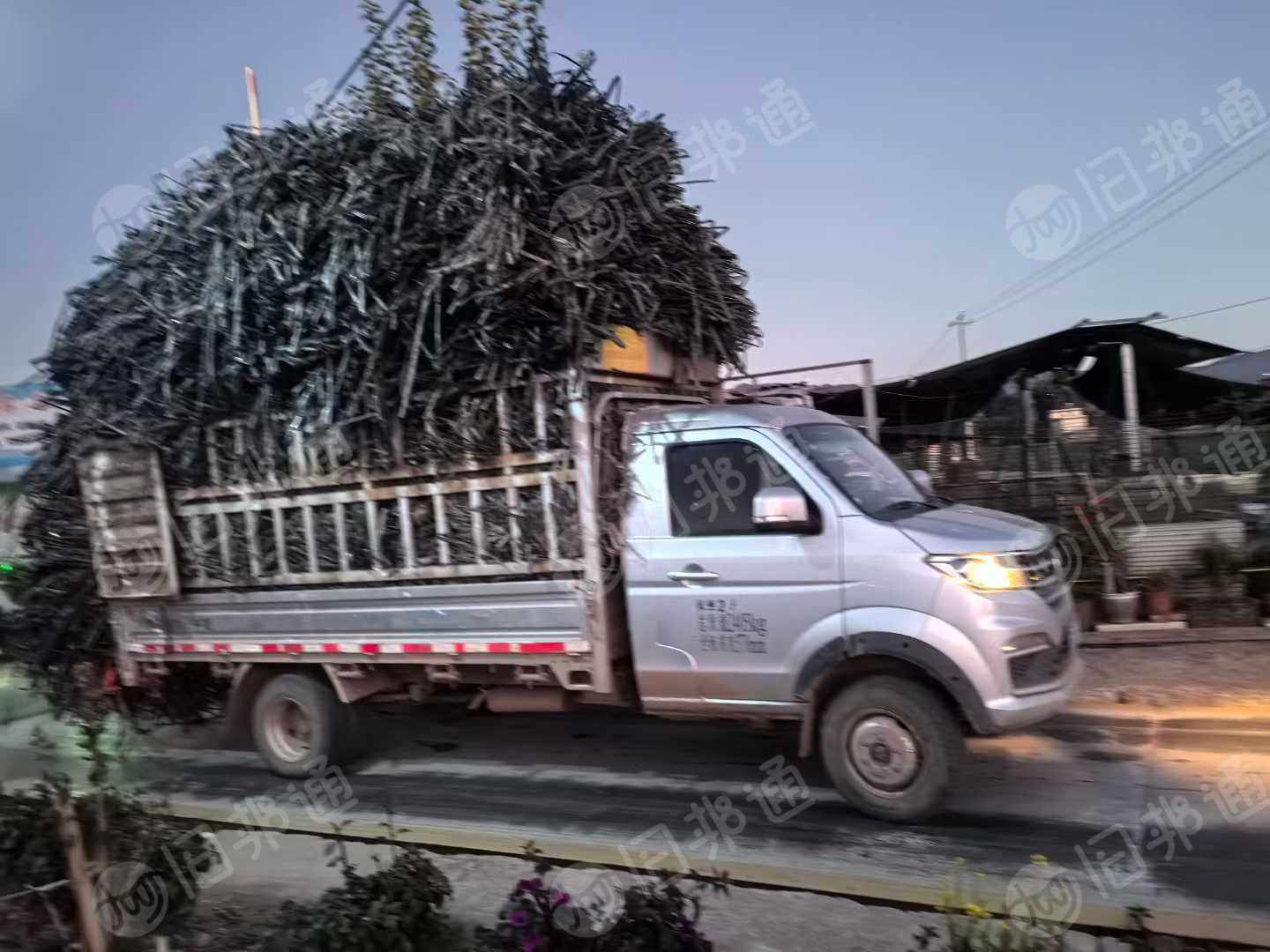 长期出售滴灌带废料，纯贴片滴灌带废料