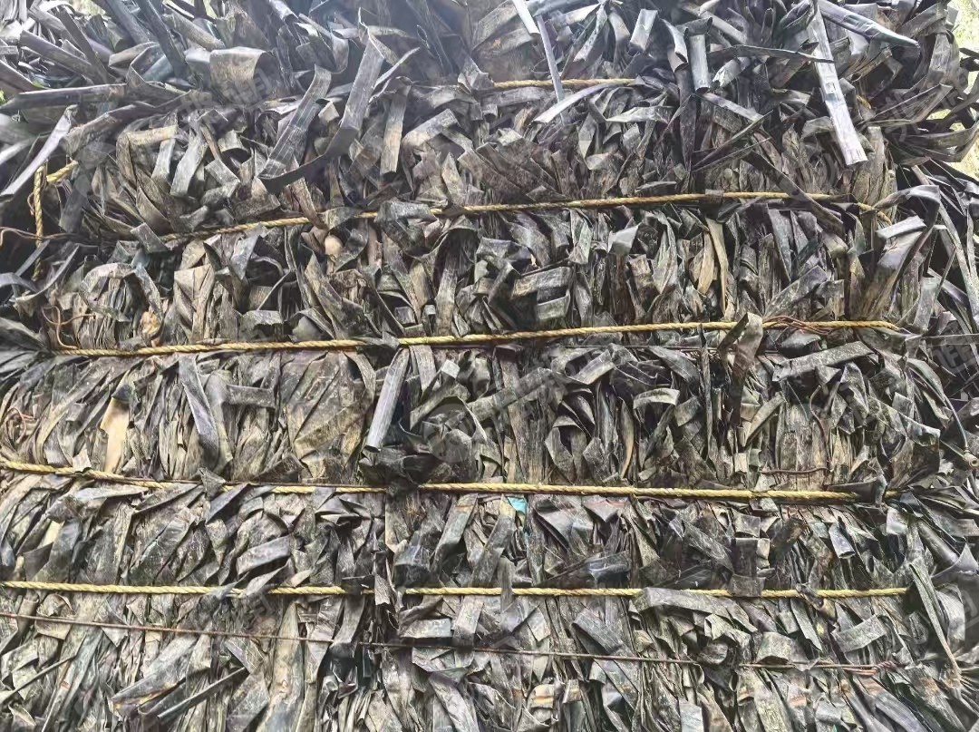 长期出售滴灌带废料,现货2挂车,贴片占比90%以上