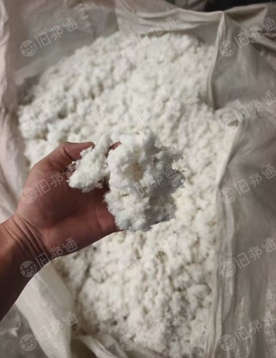 出售全棉毛毛料，磨毛料，含棉95%以上，干的，有压包，月供十几吨，货在山东济宁