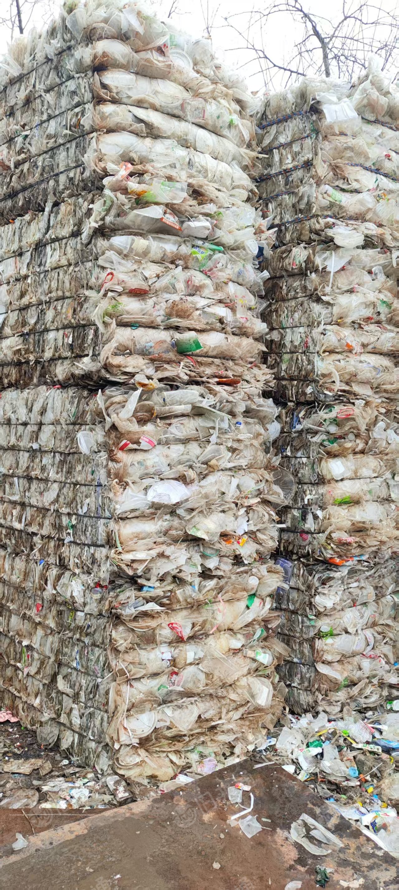 出售PP餐盒压块，透明丙压块，现货40吨