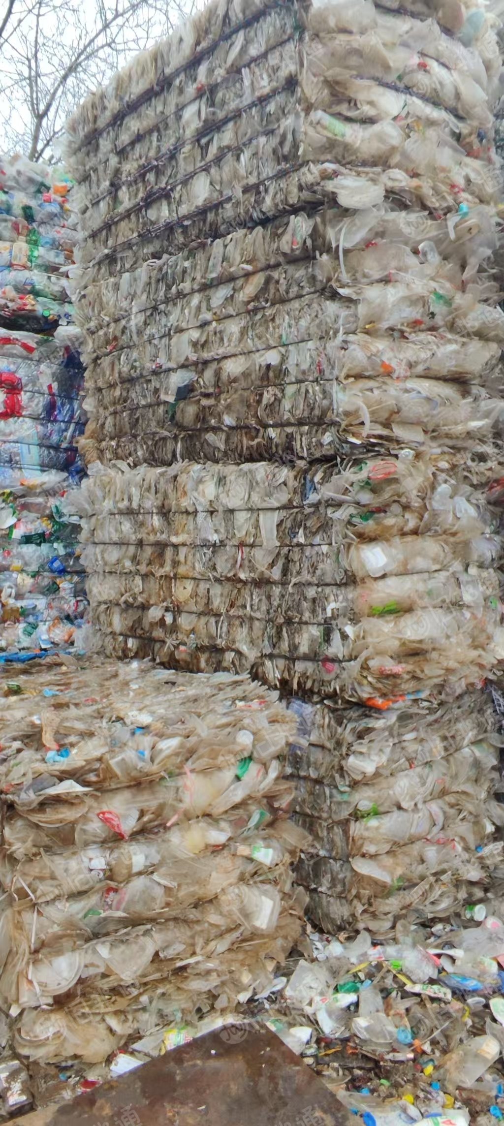 出售PP餐盒压块，透明丙压块，现货40吨