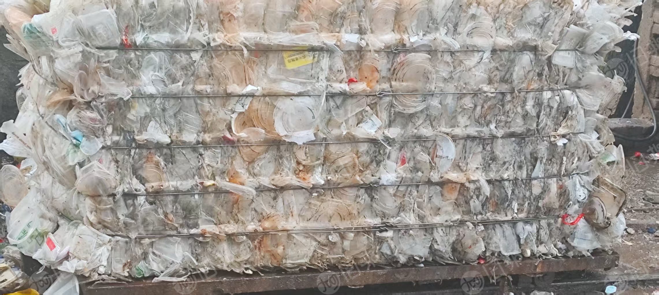 出售PP餐盒压块，透明丙压块，现货40吨