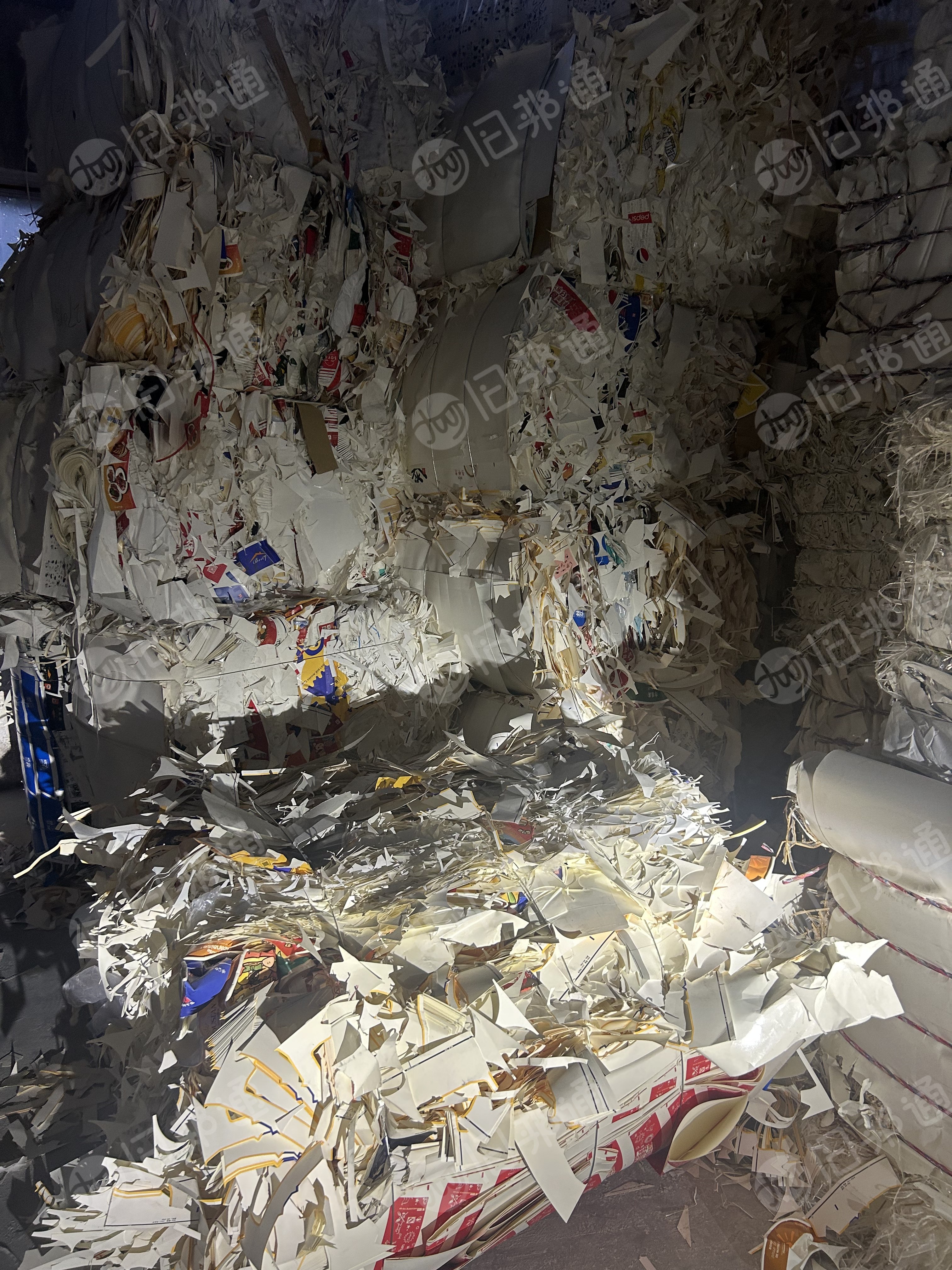 长期出售大花口杯纸边角料