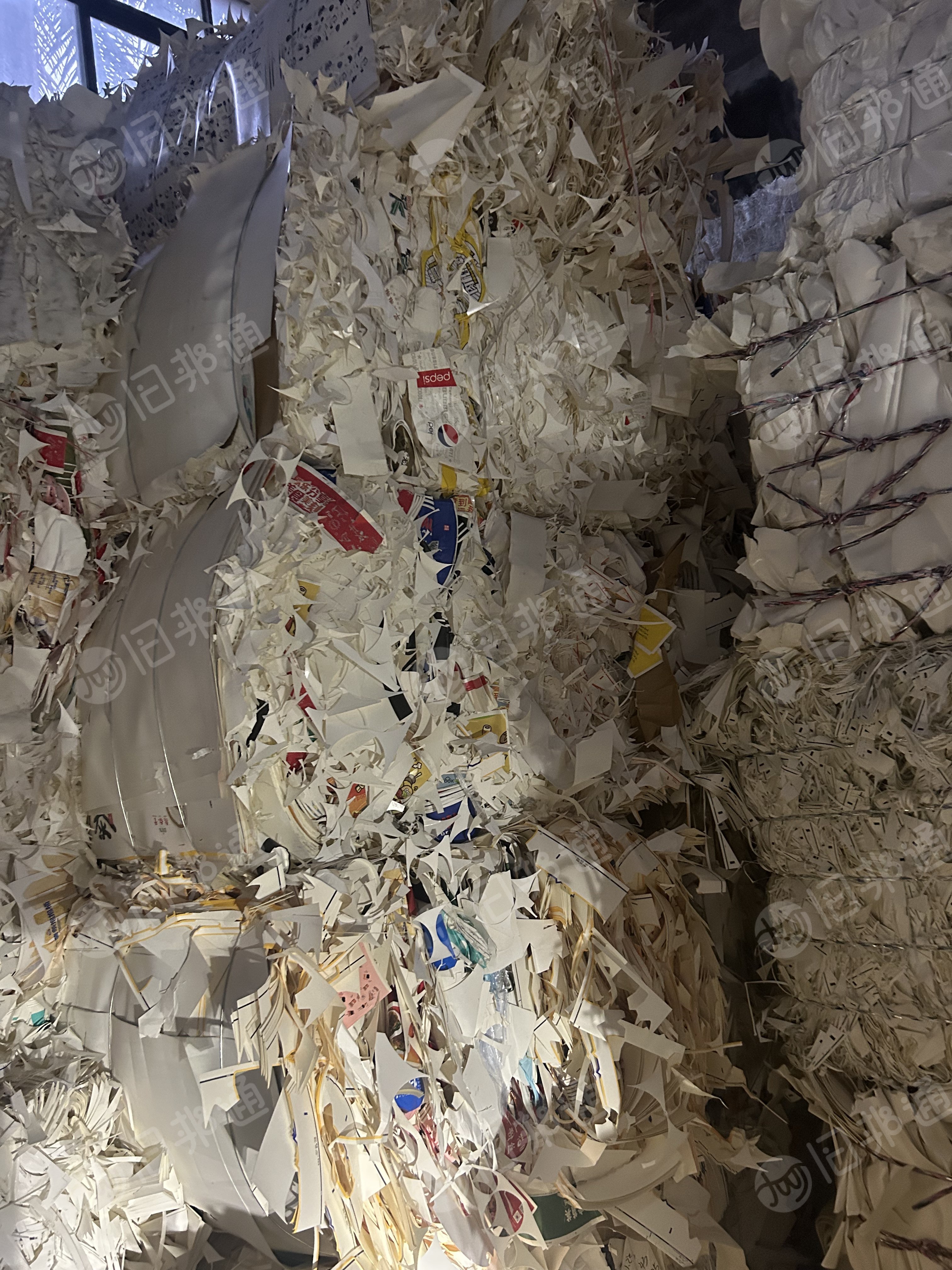 长期出售大花口杯纸边角料