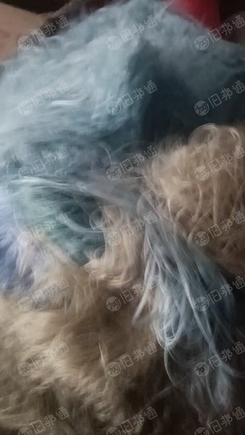 长期出售涤纶废丝，涤纶长丝，有白色黑色，杂色都有分拣开