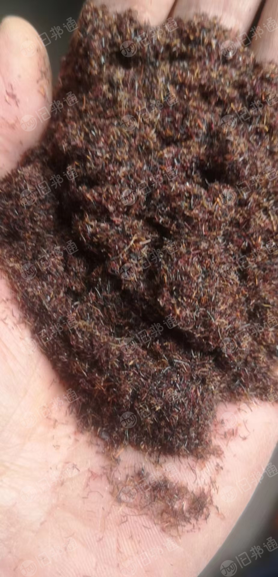 出售PVC发丝料，50-60吨