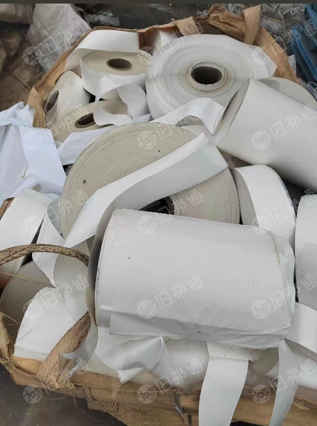 长期出售pp合成纸卷料