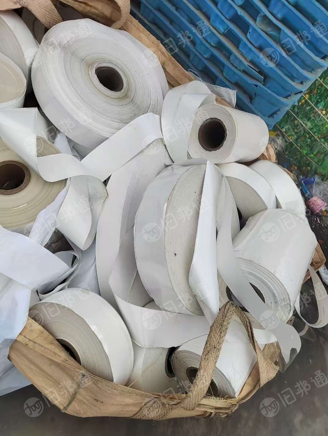 长期出售pp合成纸卷料