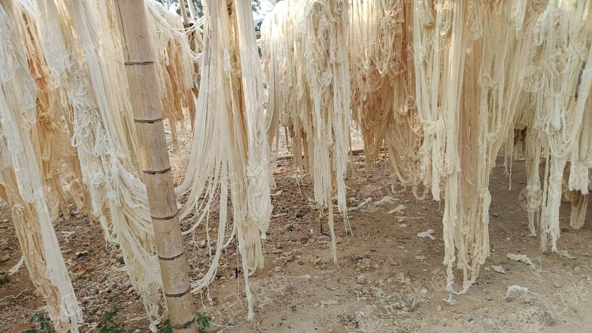 长期出售环锭纺下来的漂白纱，纯棉废纱，月供500吨左右，厂在广东清远