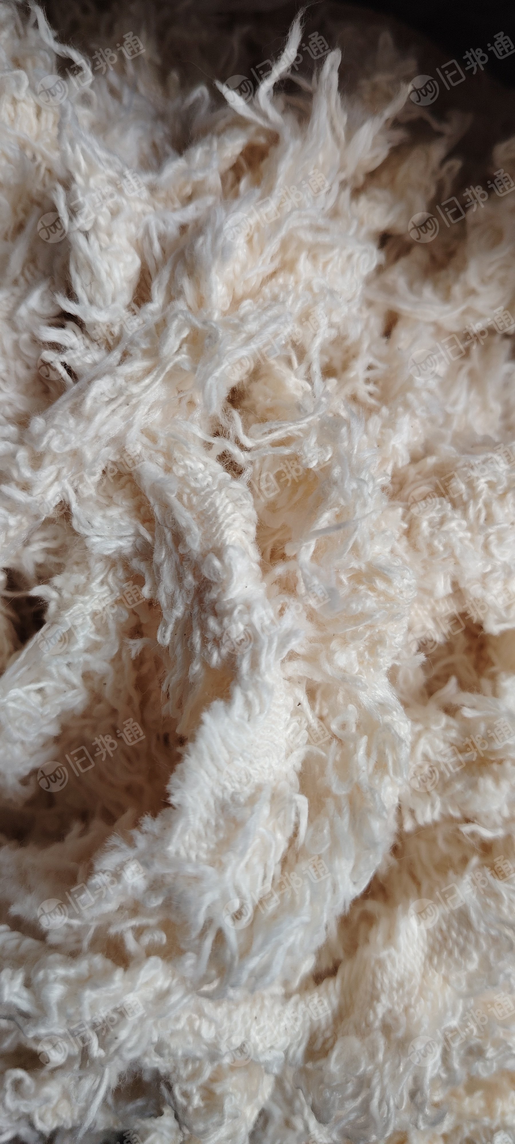 本厂长期出售布边纱，纯棉涤棉都有，氨纶棉纱，大化棉纱，浆纱，废纱，每个品种每个月有100多吨