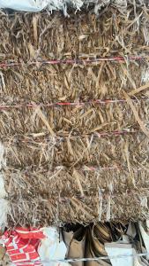 长期出售淋膜口杯纸边条