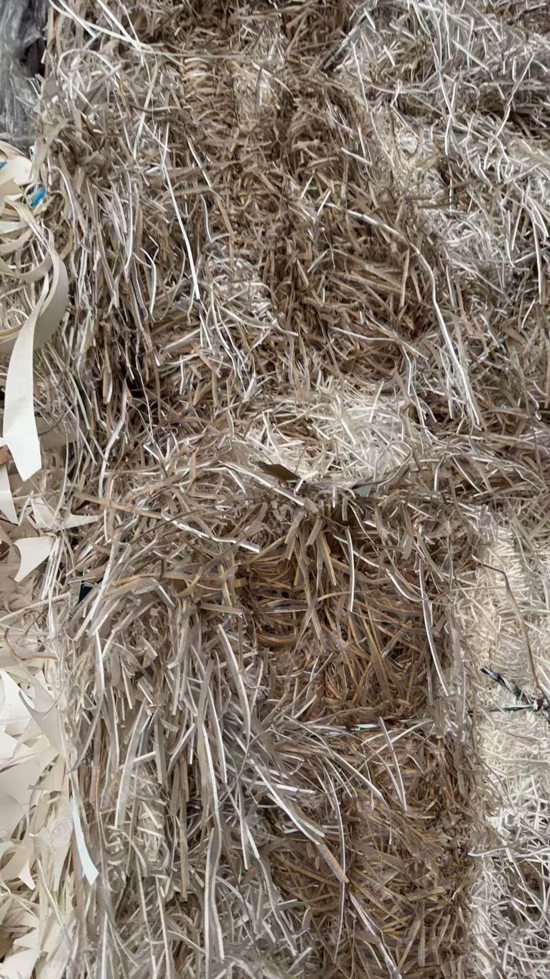 长期出售淋膜口杯纸边条