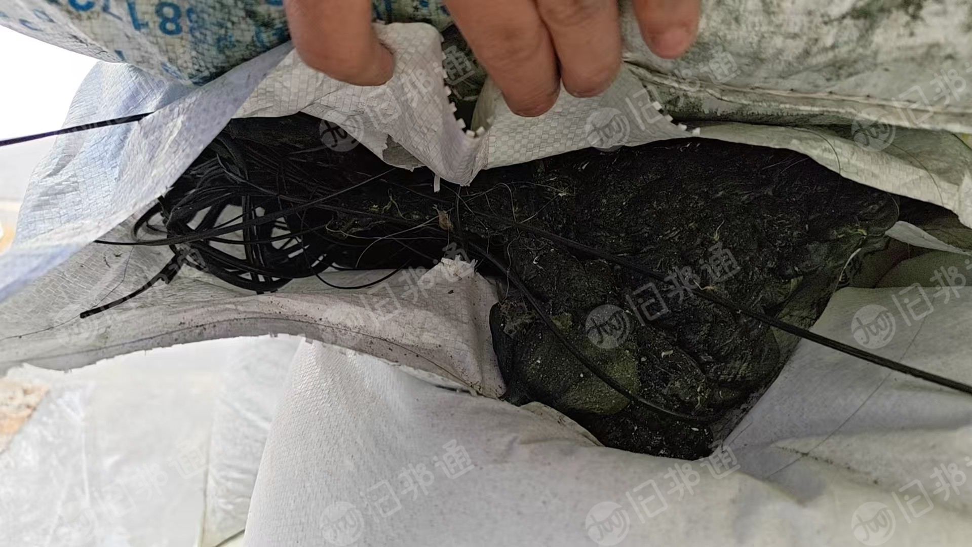 出售pe机头料，做原料颗粒下来的