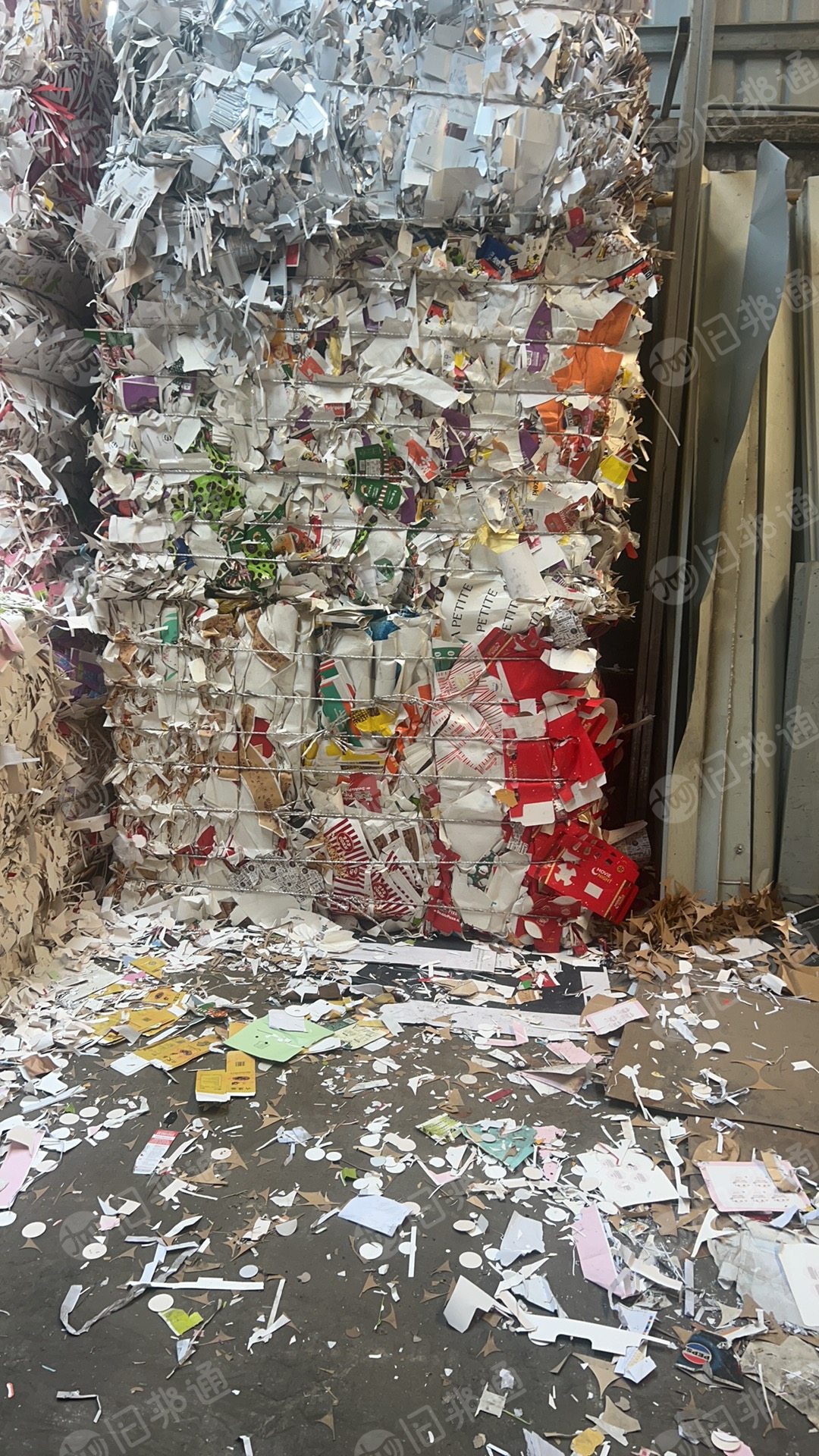 长期出售大花口杯纸边角料