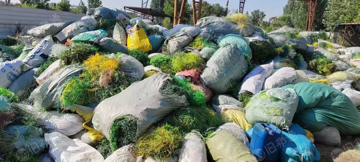 求购花枝料，花枝废料