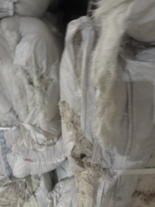 长期出售纯棉布边纱TC棉涤棉布边纱，都是本白的，每个月100吨