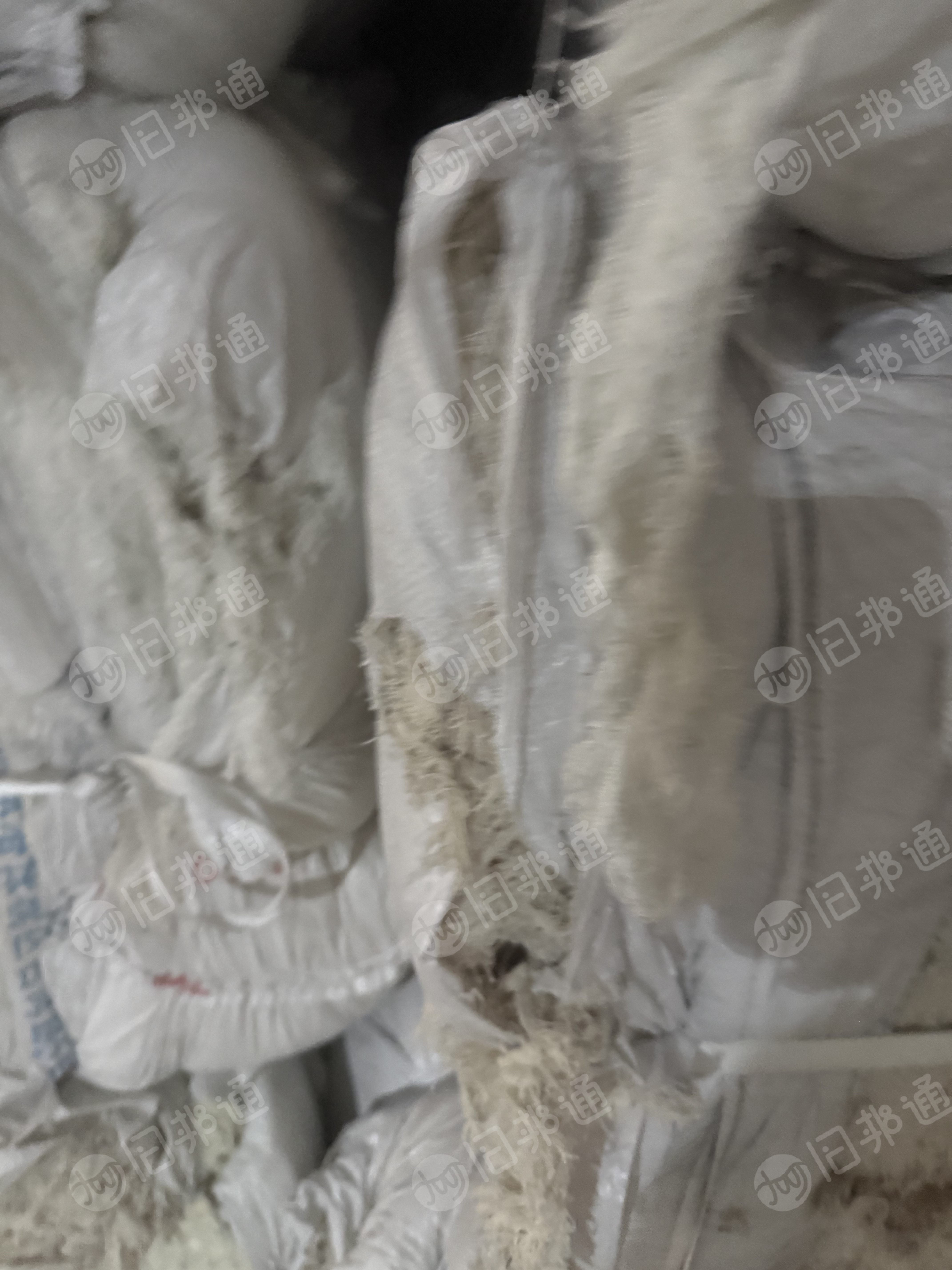 长期出售纯棉布边纱TC棉涤棉布边纱,都是本白的,每个月100吨