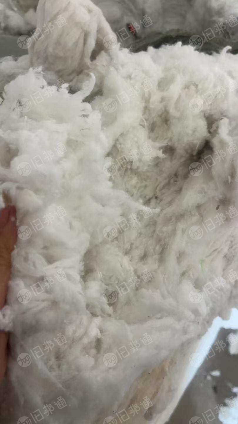 长期出售纺纱厂下来的涤棉漂白车肚棉,车肚棉,含棉85,现货15吨