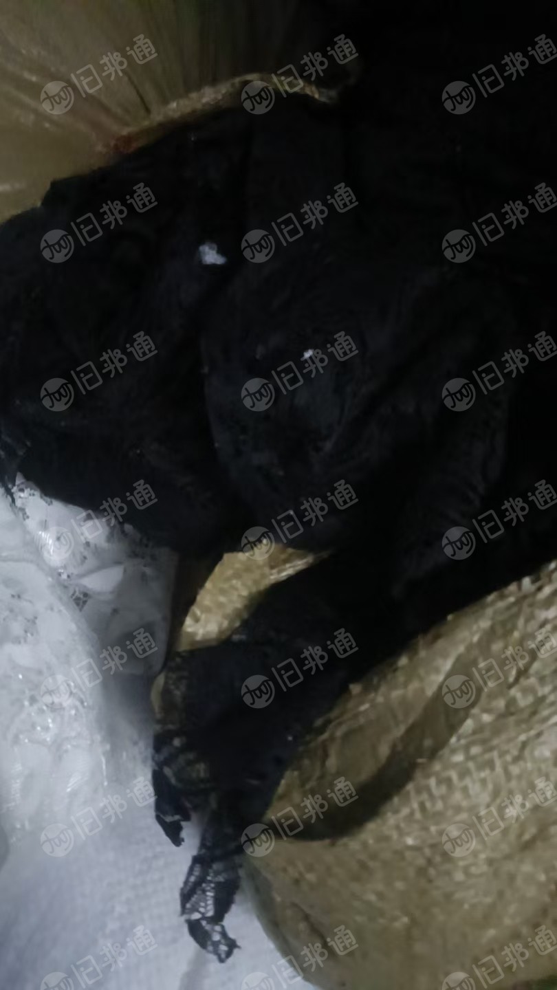 长期大量出售花边，锦氨废布，锦纶废布，尼龙废布，现货有百来吨，货在江苏连云港