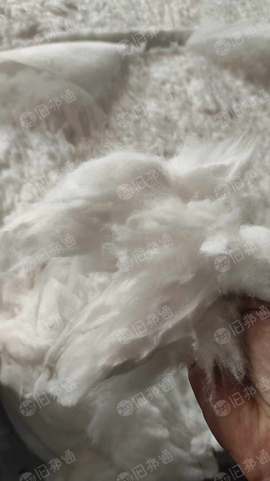 长期出售纯棉无纺布开花棉，开松棉，现货30吨