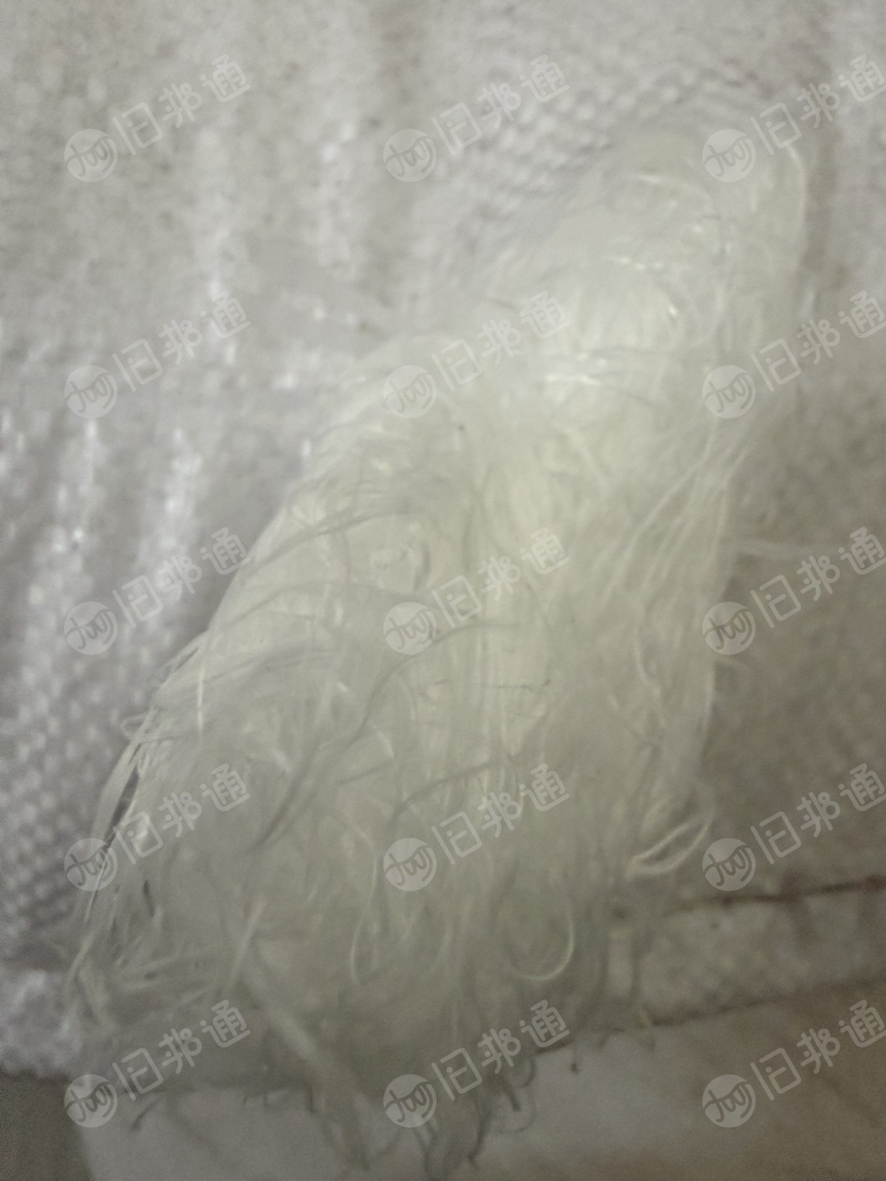 长期出售织造厂下来的涤纶开刀丝,涤纶废丝,可拉丝,可做开花用,现货15吨左右