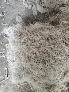 出售PPR磨盘吹下来的毛，现货还有几吨