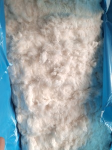 长期出售纯棉无三丝提净棉，车肚破籽棉开出来的，还有土库曼斯坦的短绒提净的，月供200吨