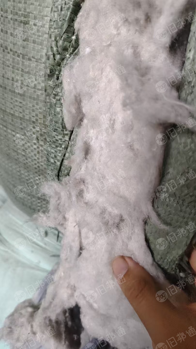 长期出售开花棉,开松棉,再生棉,有废布边角料,废纱头开的,厂在广东佛山