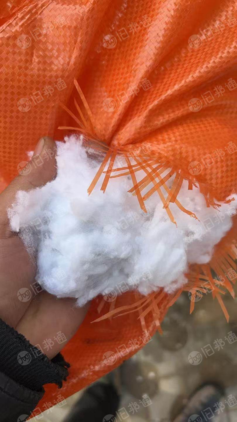 出售开松好的丝棉，丝棉开花棉，现货有6.8米一车，货在河南郑州