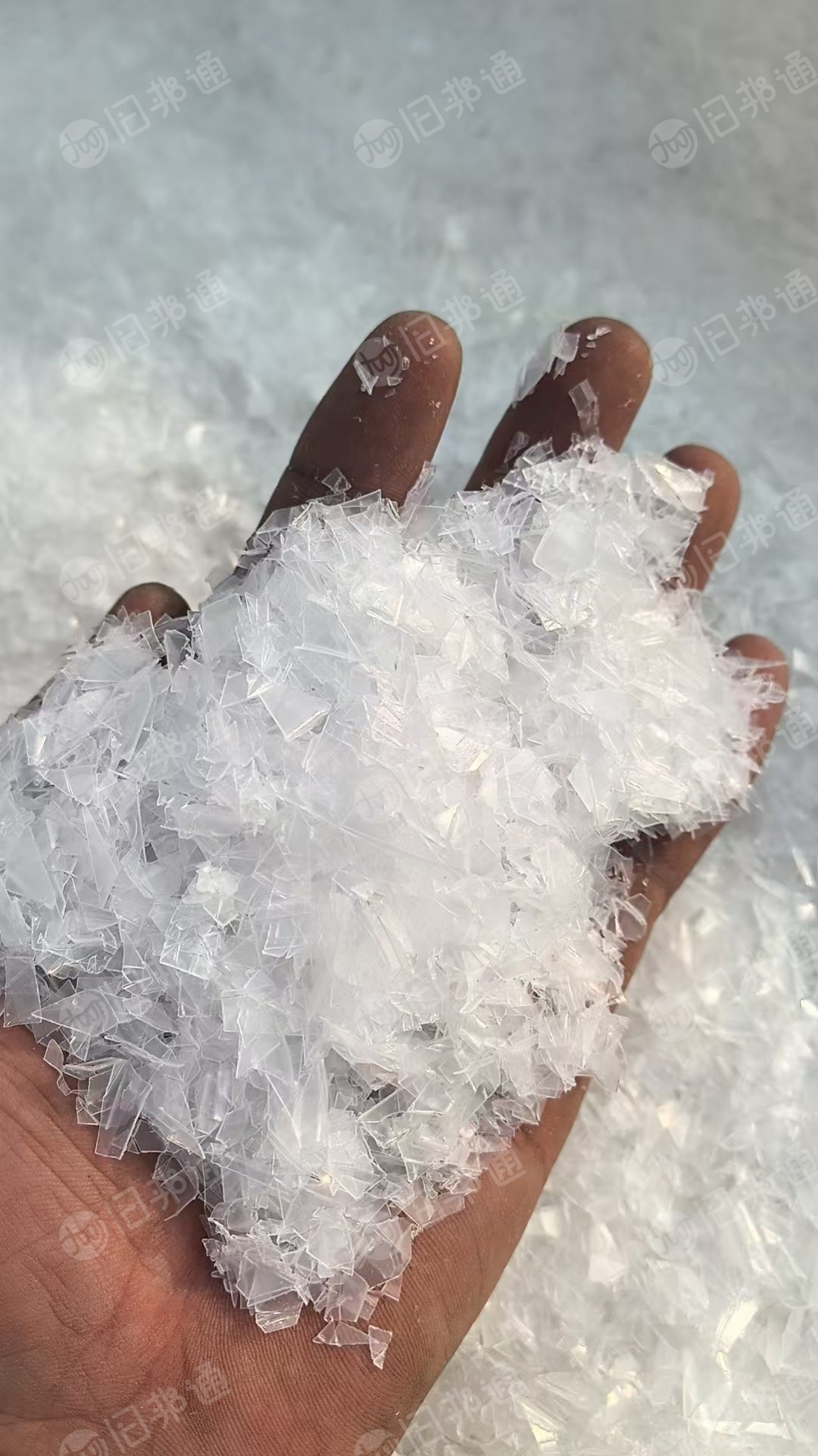 出售PP透明丙破碎料和钛白丙破碎料，现货十几吨