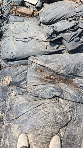 出售砖厂用的黑色的塑料布，PVC黑膜，现货十几吨