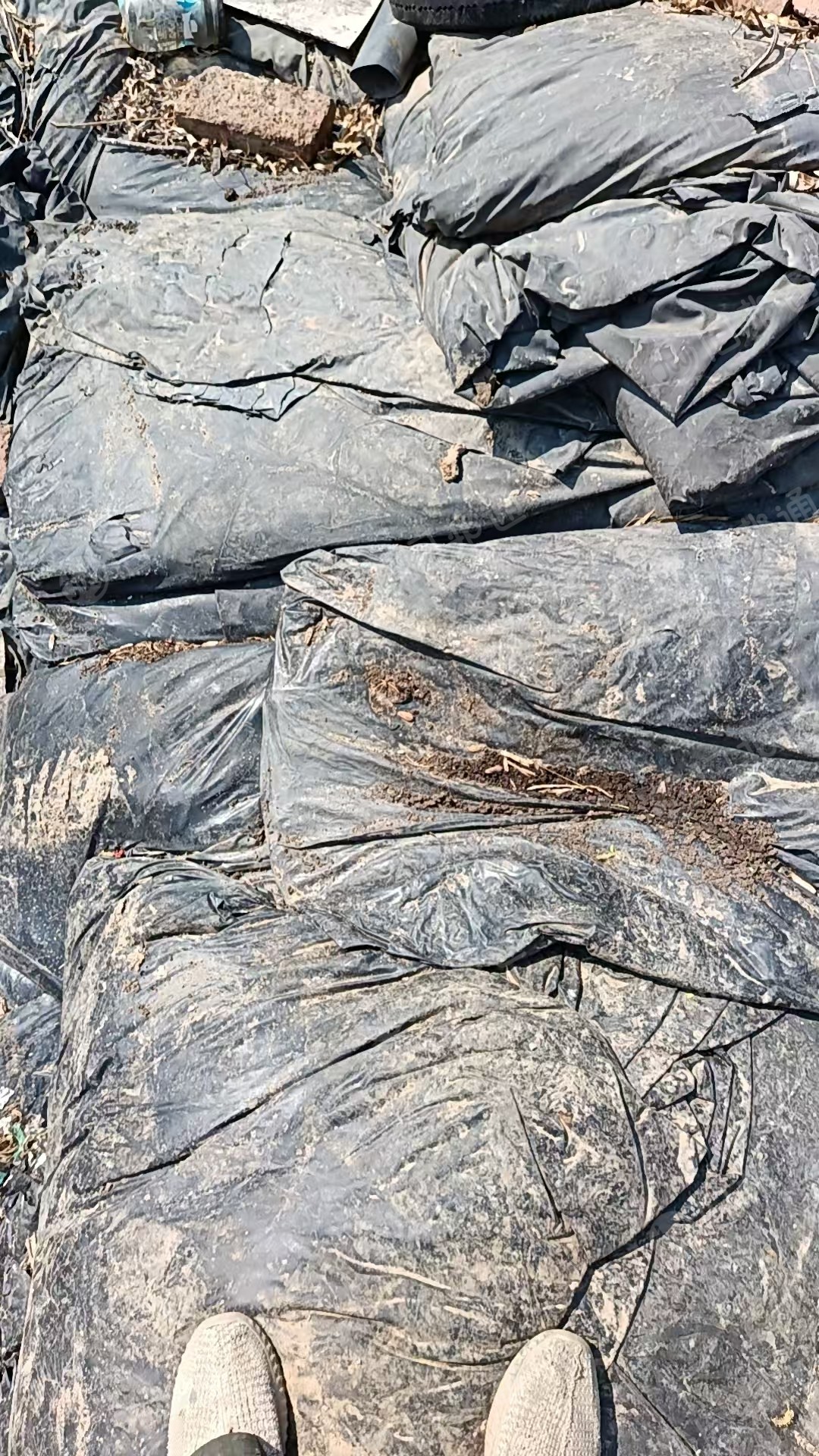 出售砖厂用的黑色的塑料布,PVC黑膜,现货十几吨