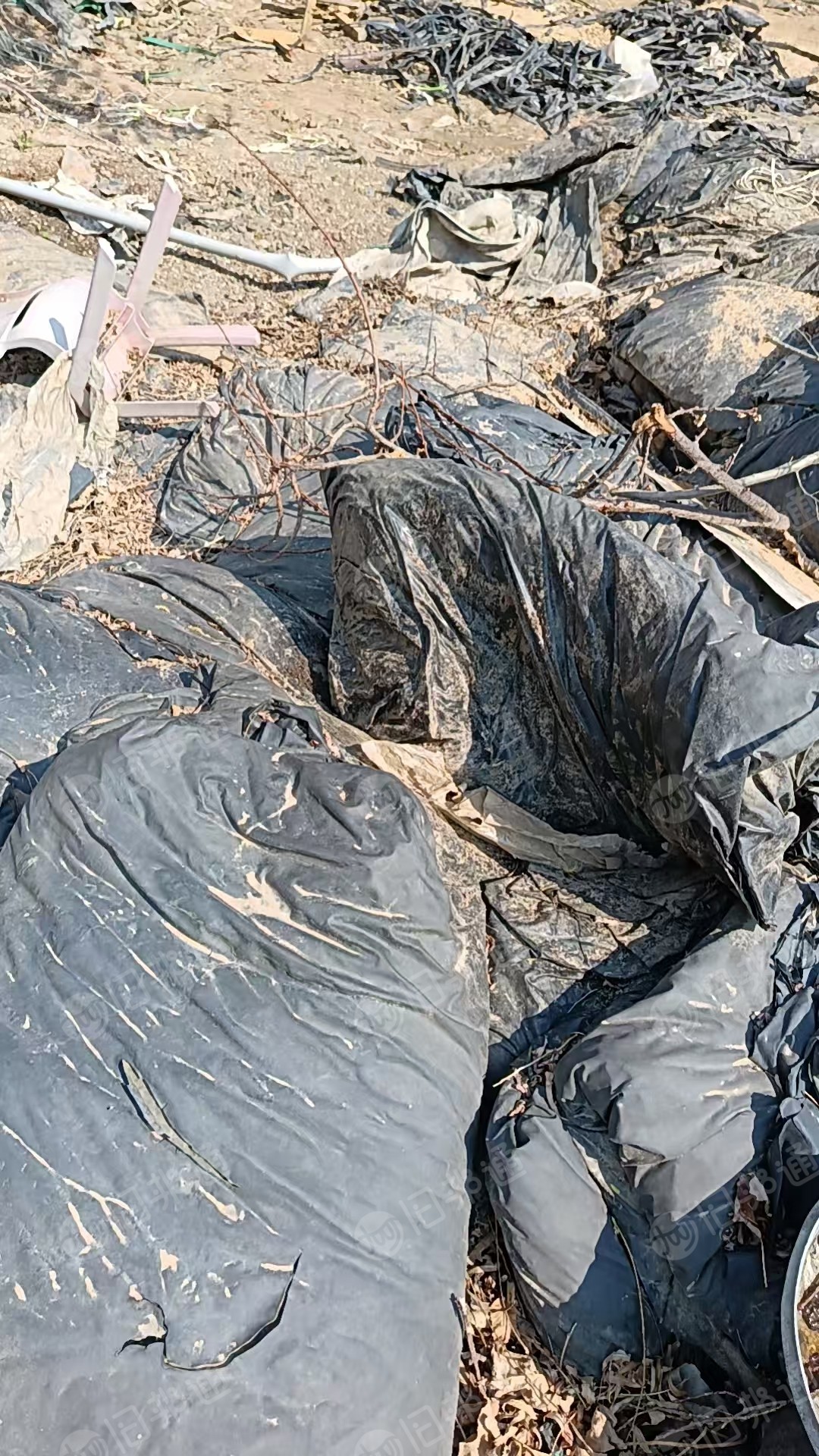 出售砖厂用的黑色的塑料布,PVC黑膜,现货十几吨