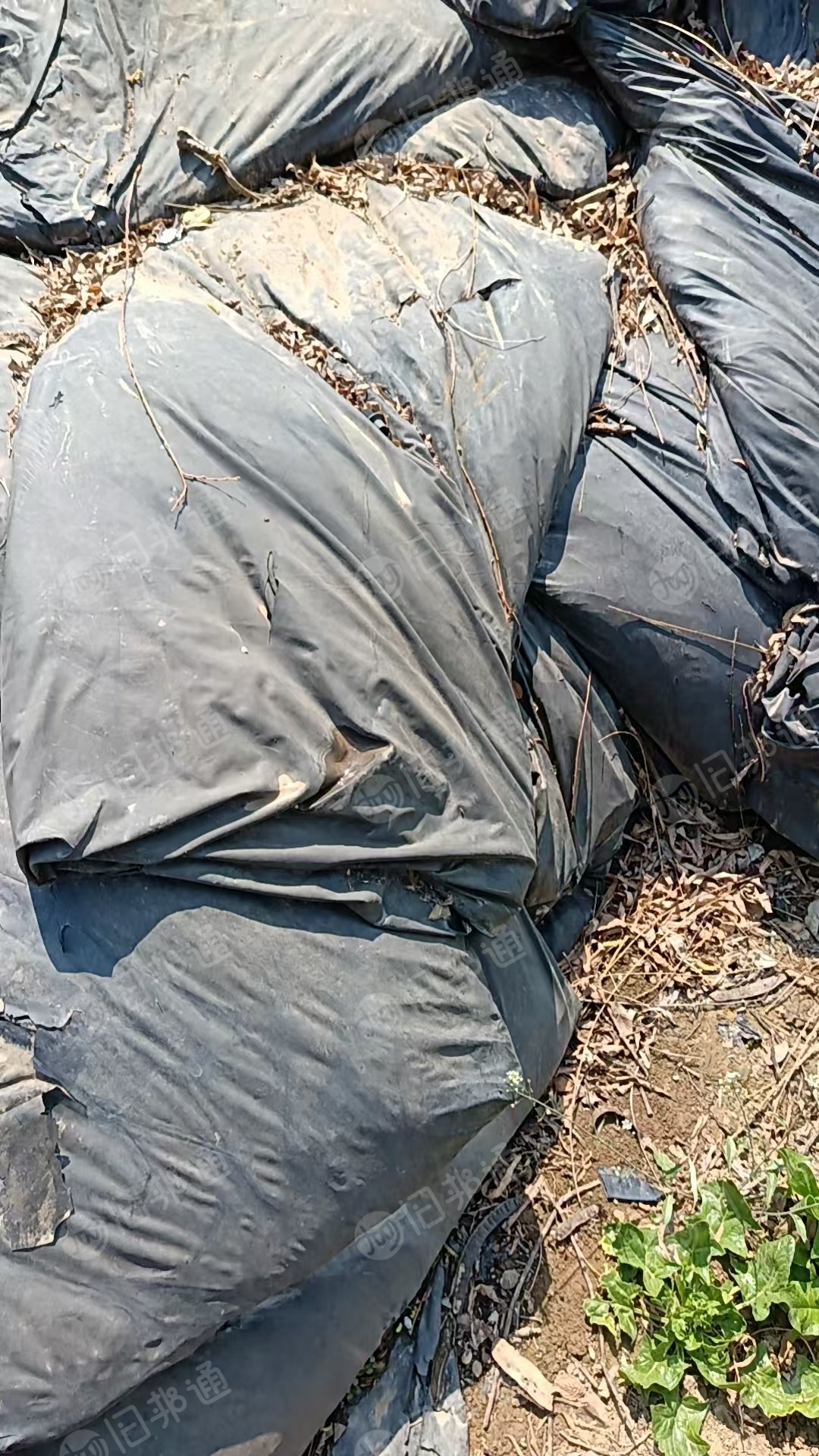 出售砖厂用的黑色的塑料布，PVC黑膜，现货十几吨