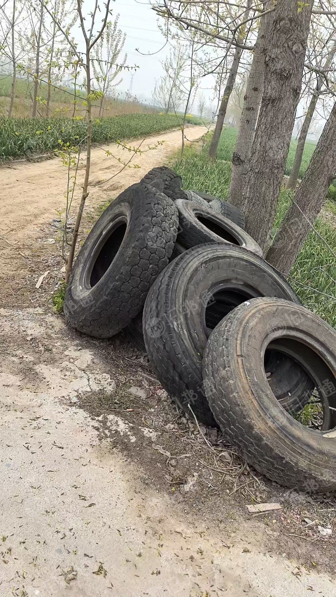 长期出售大钢丝轮胎废料