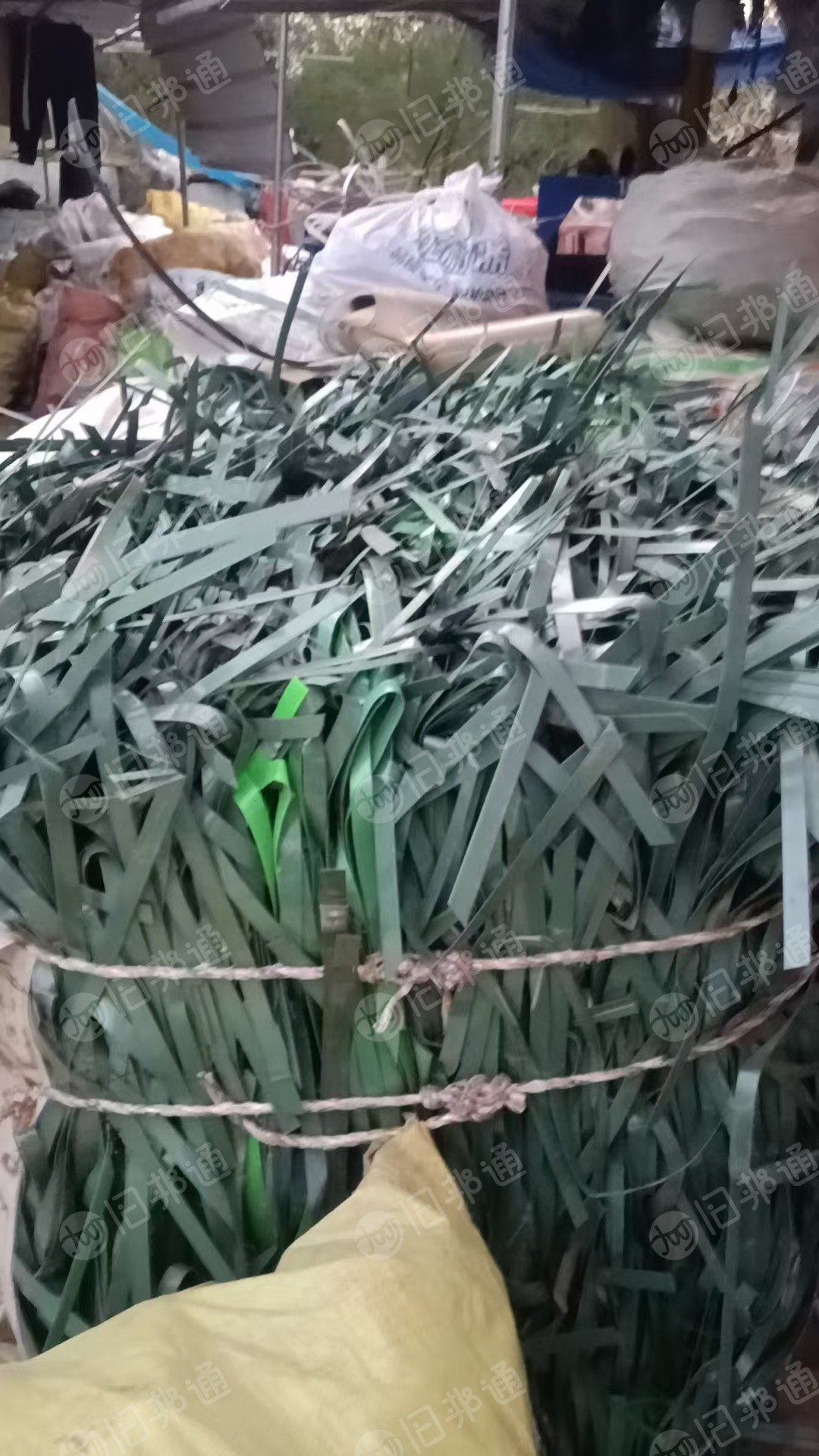 出售花丙压块，红蓝丙压块和瓶砖和PET打包带废料，长期有货