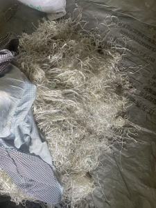长期出售涤纶废丝，工业强丝，高强丝，不含水，现货7吨