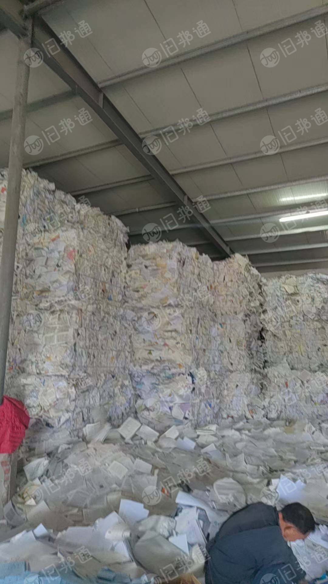 长期出售书页纸压包料，大量货源