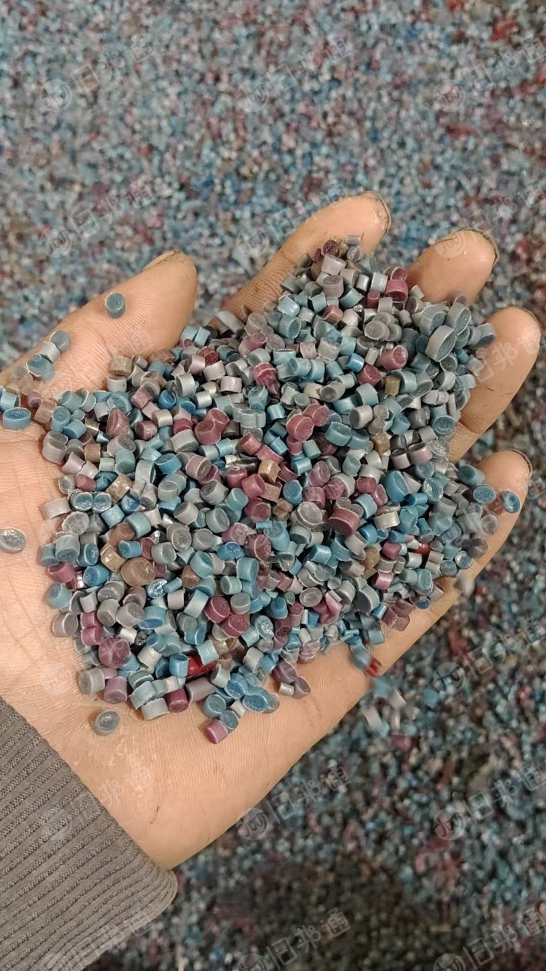 长期出售各种颜色的覆膜珍珠棉颗粒，过120目