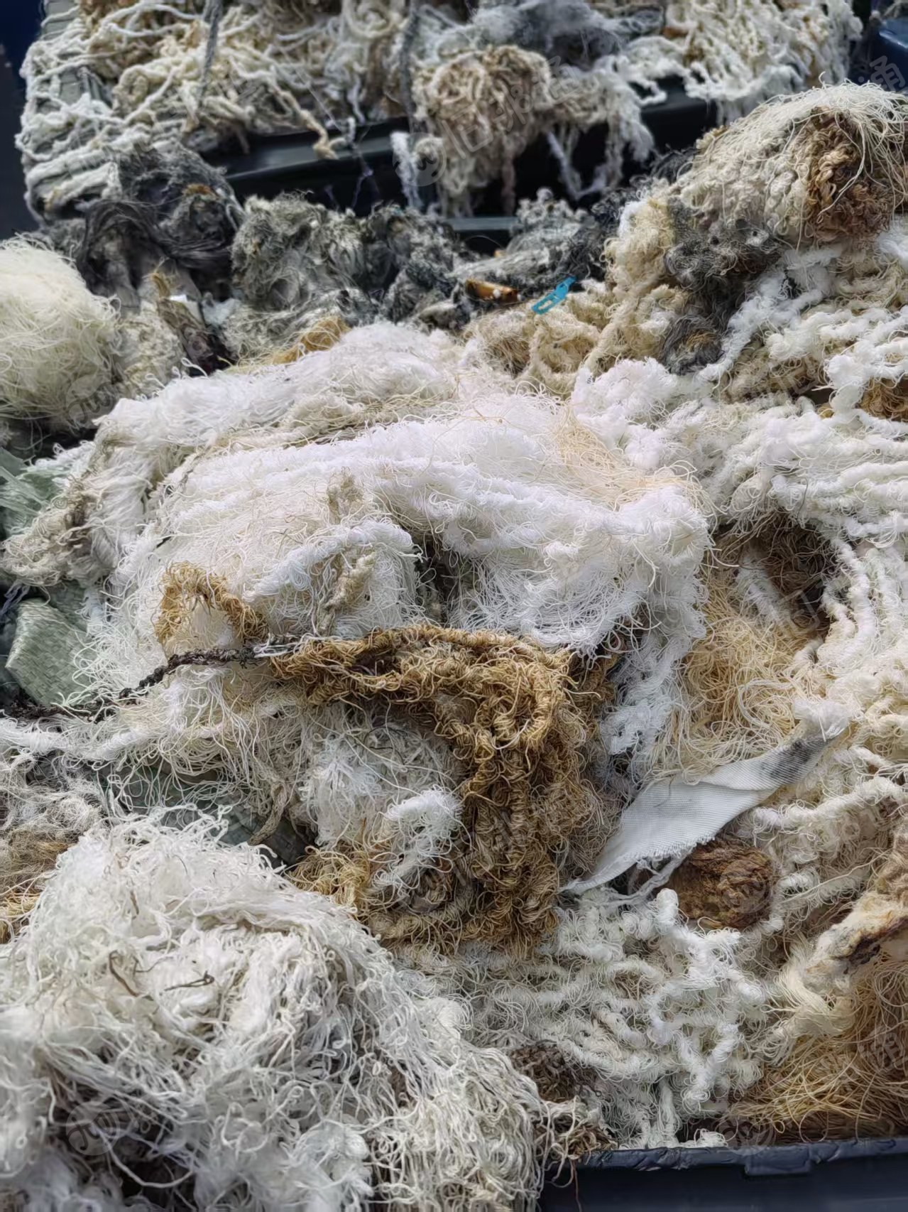 长期出售涤纶水丝，涤纶废丝，月供50吨