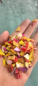 长期出售冷洗红黄丙破碎料，热洗红丙破碎料，热洗黄丙破碎料