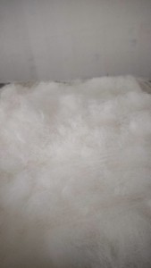 长期出售单6尼龙废丝，锦纶废丝，半光废丝，现货五十吨