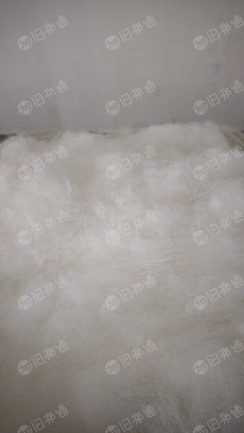 长期出售单6尼龙废丝，锦纶废丝，半光废丝，现货五十吨