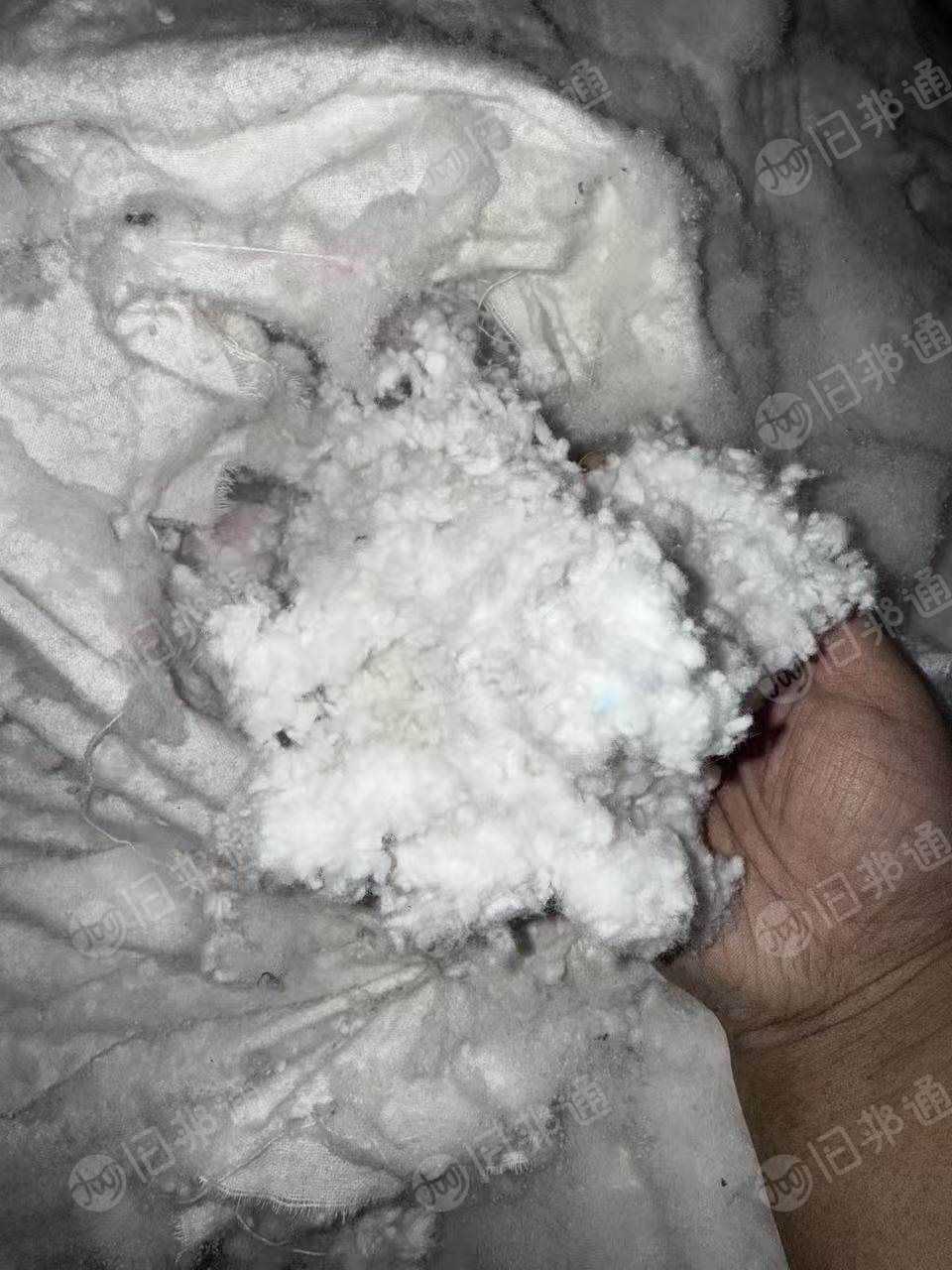 长期出售印染厂下来的纯棉磨毛料，毛毛料。现货三吨多