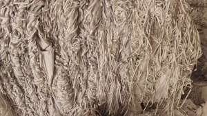 长期出售白色淋膜纸边条