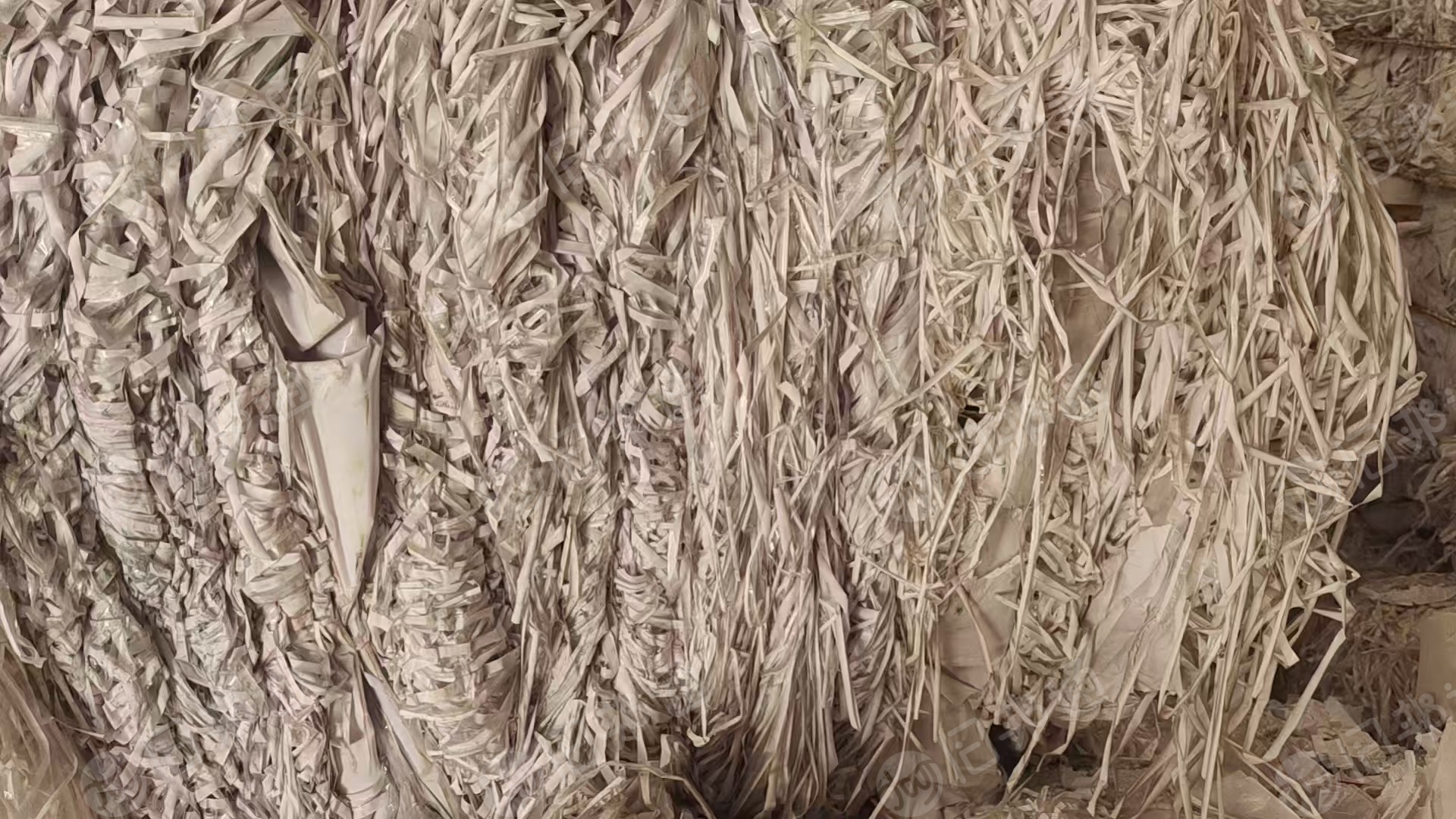 长期出售白色淋膜纸边条