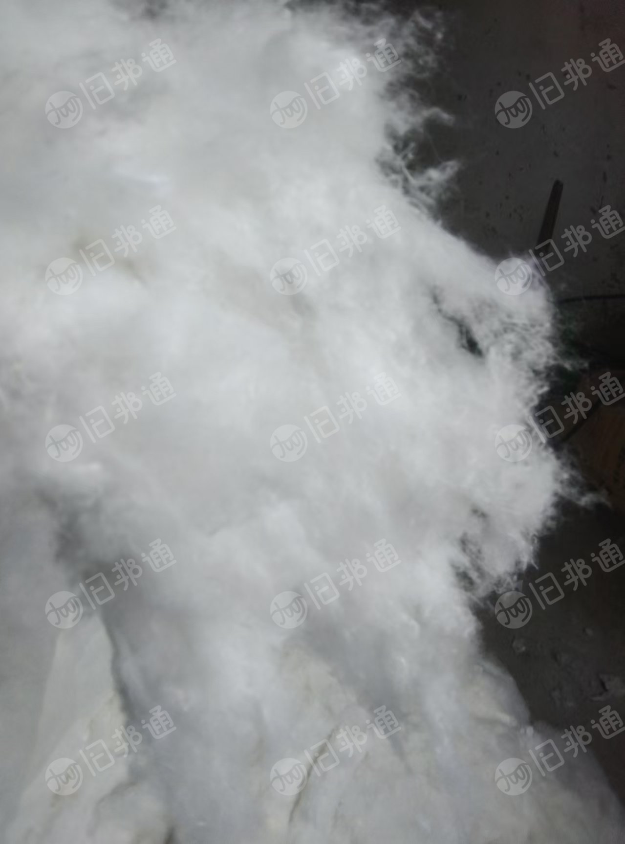 长期出售家纺下脚料开的绗棉开花棉,丝棉开花棉,大白棉